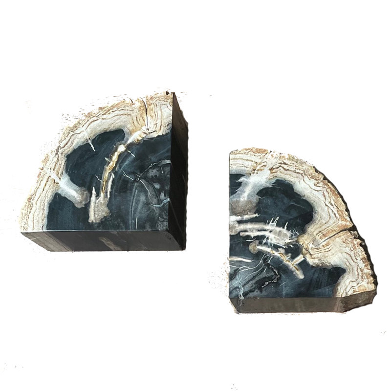 Petrified Wood Pair of Bookends