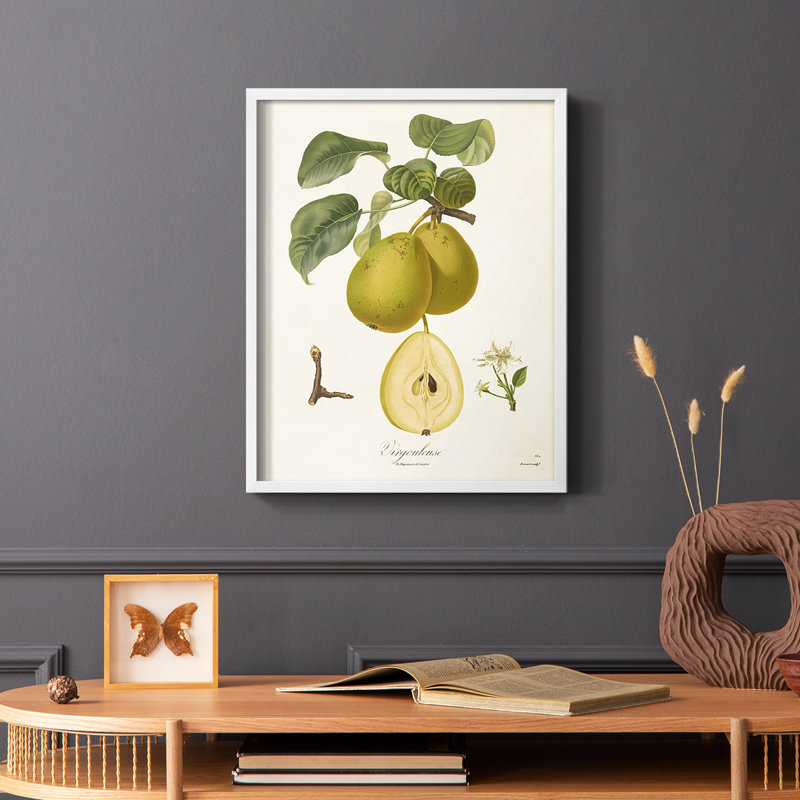 Vintage Pears III, reproduction encadrée - bois massif, H 14 po x l 11 po, Blanc
