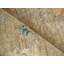 Oxford Hand-knotted Ghazni Wool, Camel Area Rug-7363304