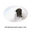 Renee Pee Pad pour chiens Renley