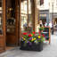 Planter-1988903649