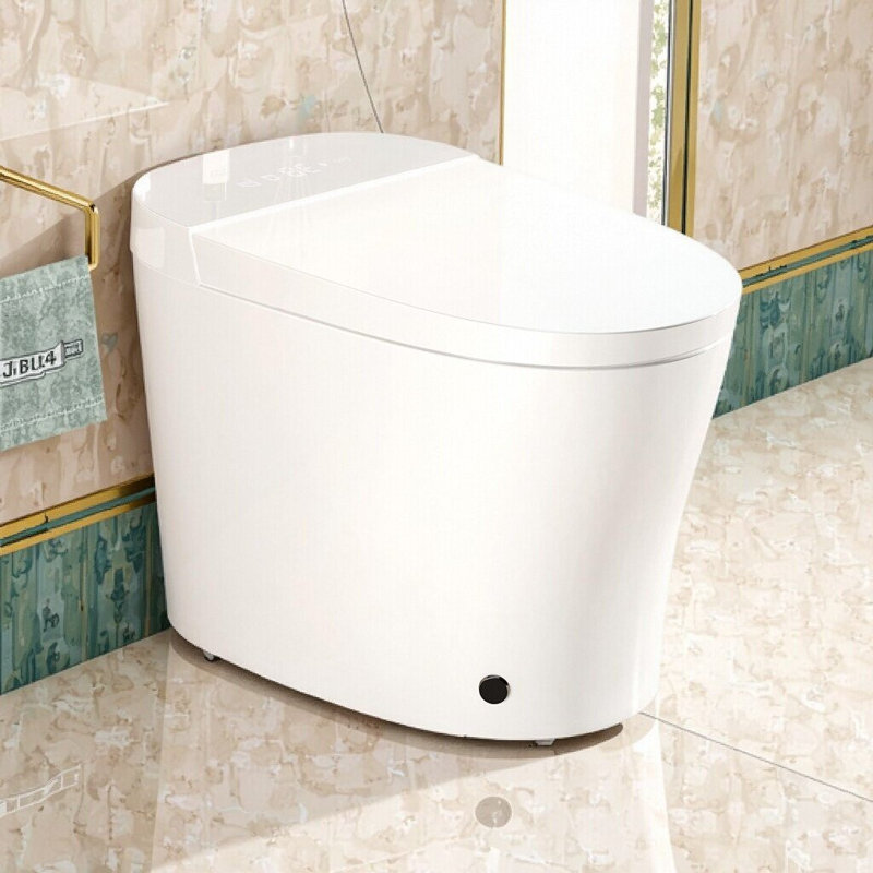 Smart One-Piece Toilet With Bidet, Heated Seat, Auto Open/Close & Led Display, White