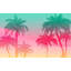 Papier peint de qualité supérieure - Palmiers au coucher du soleil tropical-523590263