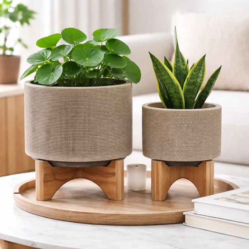 Ensemble de 2 pots à fleurs Feny, Brun clair / brun