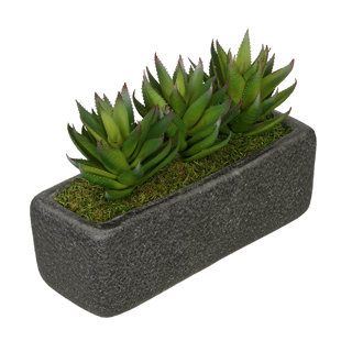 Plante aloe artificiel vert dans un vase décoratif