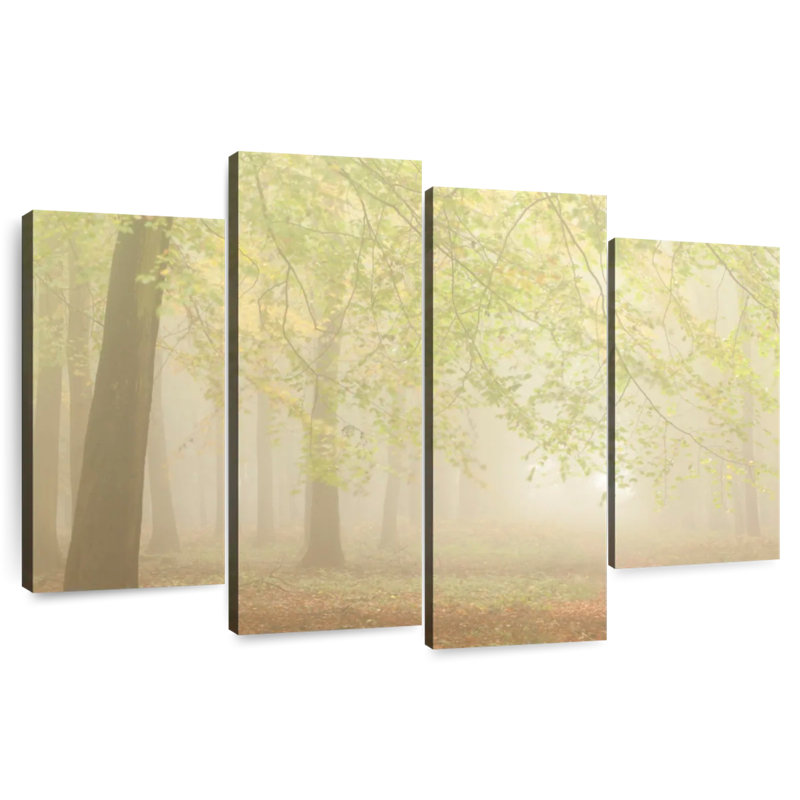 Alvord forêt brouillard I