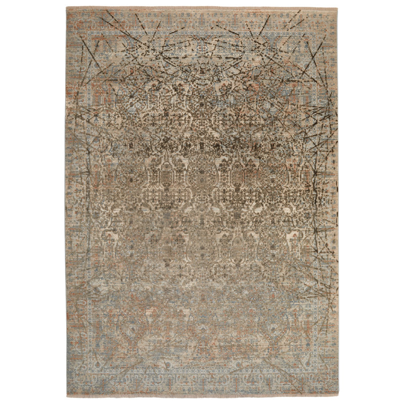 Alphe Oriental Area Rug, Rectangle 200 x 290cm