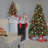 North Valley Spruce Tree with Clear Lights-1892999641