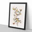 Black-Throated Green Warbler by John James Audubon - Picture Frame Painting Print-55545335-55545334
