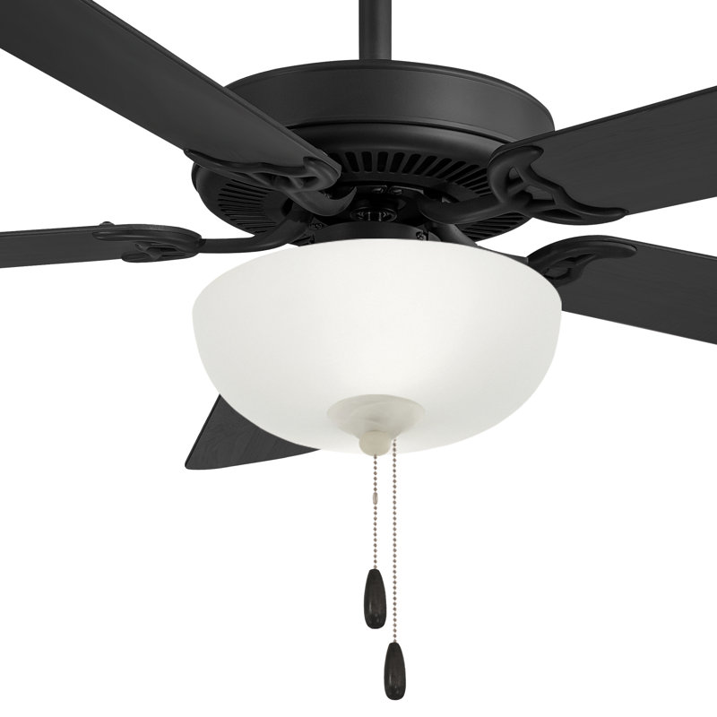 5 - Blade LED Standard Ceiling Fan and Light Kit Included, Coal