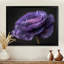 Reproduction d'art mural noir et mauve Nature Nuance I - Renoncule-491470628-491470680