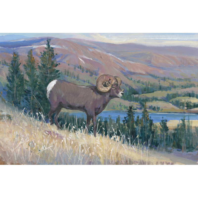 Animals Of The West III by Tim OToole - Wrapped Canvas Print, 30cm H x 46cm W x 3.8cm D