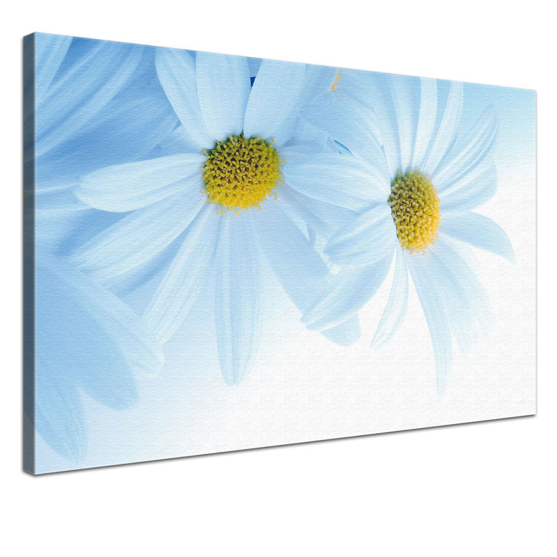 Print on Canvas, 100cm H x 150cm W x 2cm D