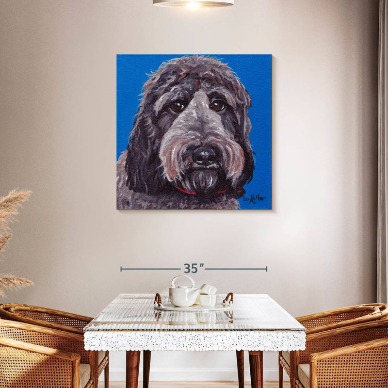 Crowle Labradoodle, H 36 po x l 36 po