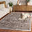 Chamber Power Loom Performance Oriental Indoor Rug-8161126
