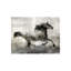 Quick Step Print by Leftbank Art-26926883-26926888