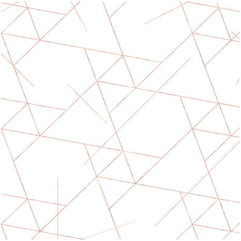 Geometric Vinyl Wallpaper Roll by Jamie Graney, White/Rose Gold Leaf
