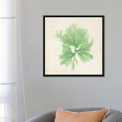 « péridot algues iii », reproduction d’impression sur toile tendue