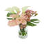 Tropical Arrangement with Calla Lilies, Orchids and Protea