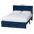 Aula Baxton Studio Elora Modern Pleated Velvet Queen Size Storage Bed-1752107095
