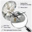 Pivoine blanche blanche pivoine en mouvement I - pivoines horloge asymétrique en métal, horloge murale moderne de forme irrégulière-105565161