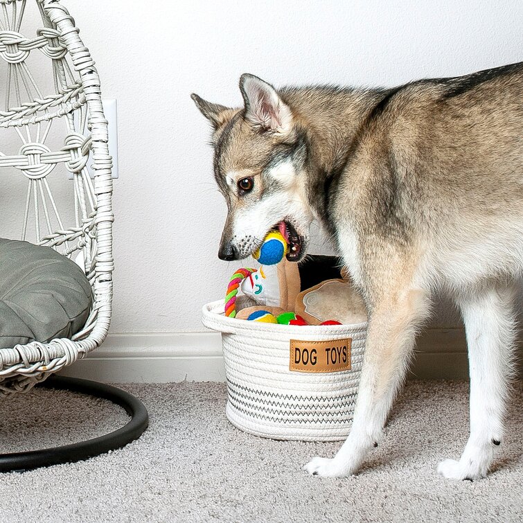 https://assets.wfcdn.com/im/13103983/resize-h755-w755%5Ecompr-r85/1550/155086025/Dog+Toy+Fabric+Basket.jpg