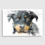 Rottweiler Dog - Wall Art-23697840-89836197