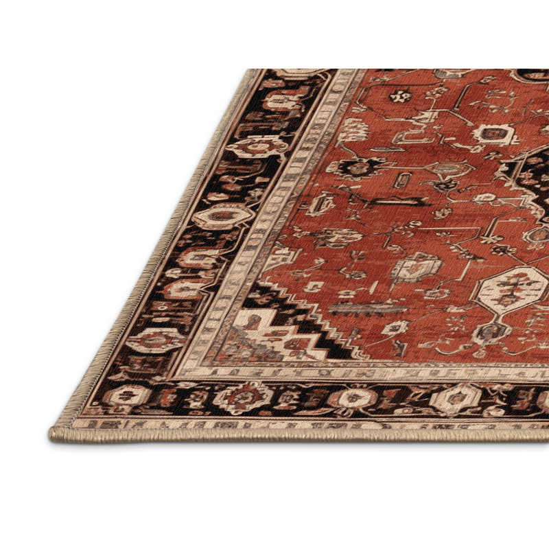 Machine Washable Persian Brown Area Rug, Rectangle 5' x 7'