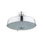 Rainshower™ Rustic Rain Shower Head with DreamSpray-2424475