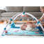 The Ocean Baby Gym