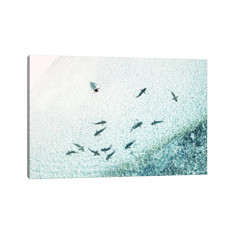 Aerial Shoreline Sharks With Swimmer by James Vodicka - Wrapped Canvas Print, 45.72cm H x 66.04cm W x 1.905cm D