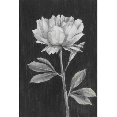 Fleurs noires et blanches III