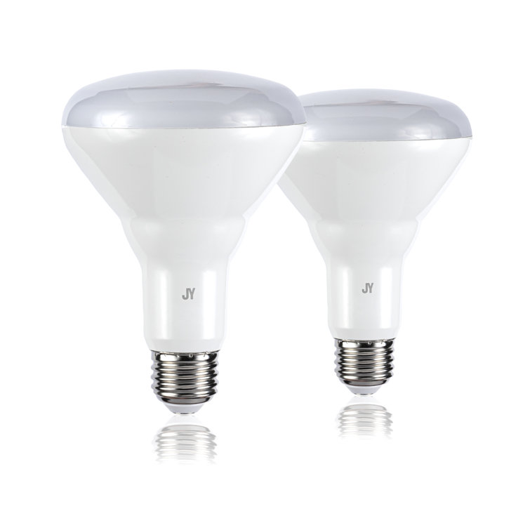 Roosendaal Equivalent / E26/Medium (Standard) Dimmable LED Smart Bulb