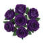Velours rosier-363887445