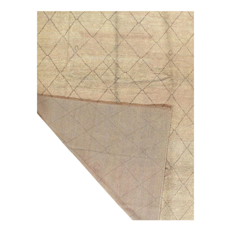 Wilja Oriental Area Rug