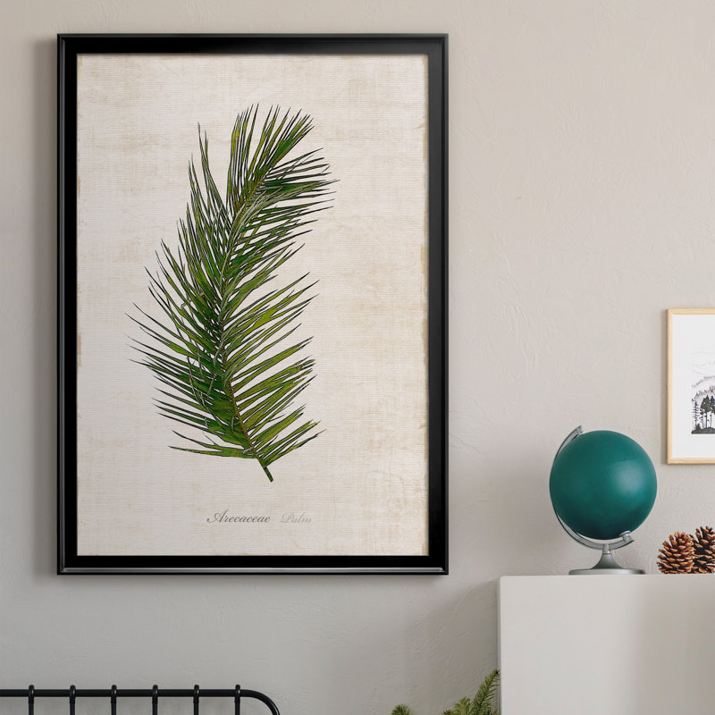 Palm Botanical II - Peinture sur toile encadrée, H 26,5 po x l 36,5 po x P 1,5 po, Noir