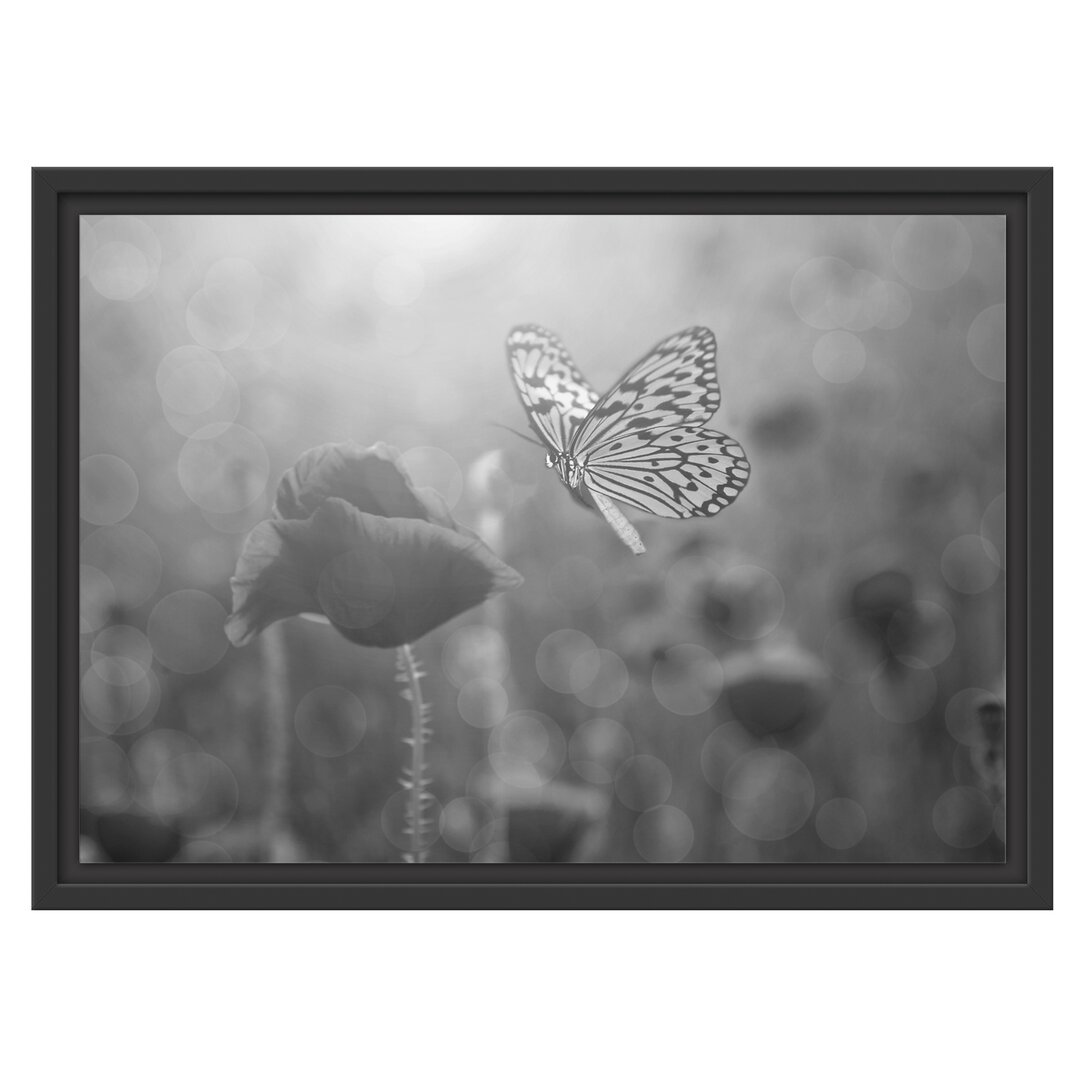 Gerahmtes Wandbild Mohn und Schmetterling Kunst B&W