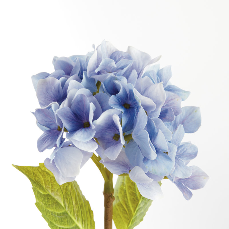 TIGES HYDRANGEA 18 po, ENSEMBLE DE 6, Mauve
