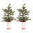 2 Artificial Pine Tree in Pot Set