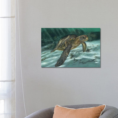 Sea Turtle by Richard Macwee - Wrapped Canvas Gallery-Wrapped Canvas Giclée