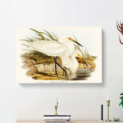 Spotless Egrets by Elizabeth Gould - Wrapped Canvas Painting