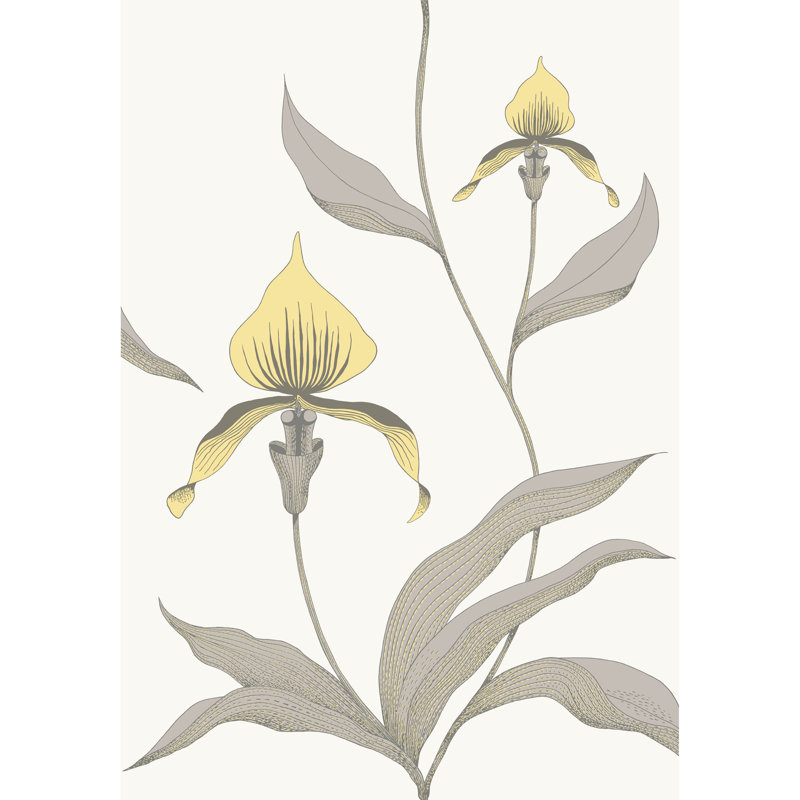 Orchid Floral Wallpaper Roll, Yellow/Slate Gray