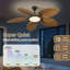 Ventilateur de plafond tropical de 132 cm (52 ​​pouces) avec éclairage DEL, motif de feuilles de palmier, télécommande, 5 pales réversibles, brun noyer