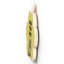 Gruia Wall Decor
