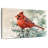 Cardinal Bird-108842017