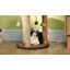 Cordalia 17" Cat Tree, Kitty Activity Centre with Hanging Toys, Cat Climbing Toy, Cat Tower with Jute