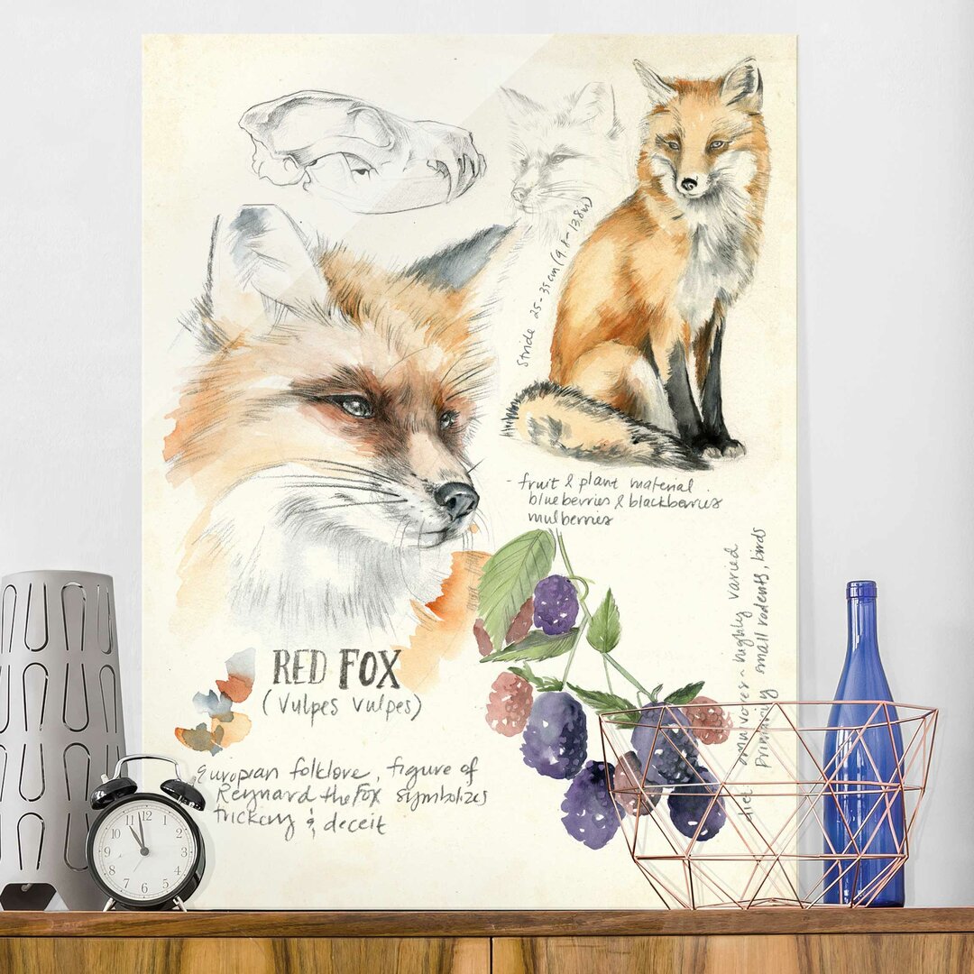 Glasbild Wilderness Journal Fox