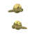 Satin Brass
