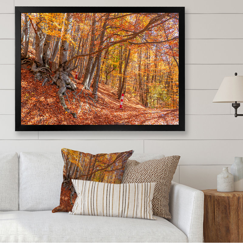 Forêt d'automne, reproduction d'art sur toile traditionnelle, H 24 po x l 36 po x P 1 po, Cadre photo noir