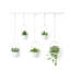 Hanging Planter with 5 pots-70896951
